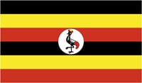 Uganda in watch live tv channel.